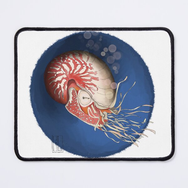 Item preview, The fabulous nautilus designed and sold by Langfordcraft.