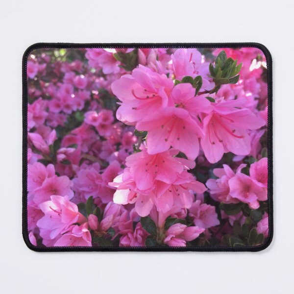 Item preview, Azaleas  designed and sold by Wolfie-Rose.
