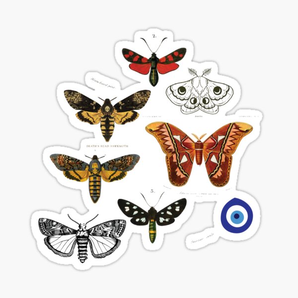 Moths with Evil Eye Omens (larger) Sticker