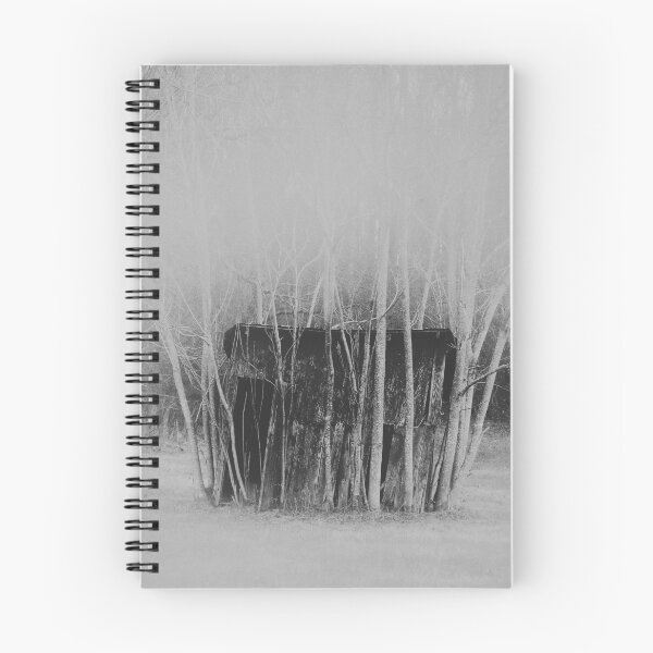 Item preview, the shack  designed and sold by Nyfakid96.