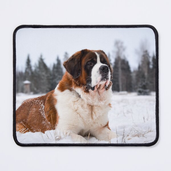 Item preview, St Bernard in snow designed and sold by Elina Price.