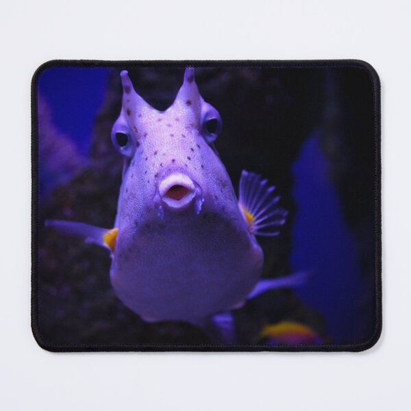 Item preview, Fish feeling romantical designed and sold by Belles-Photos.