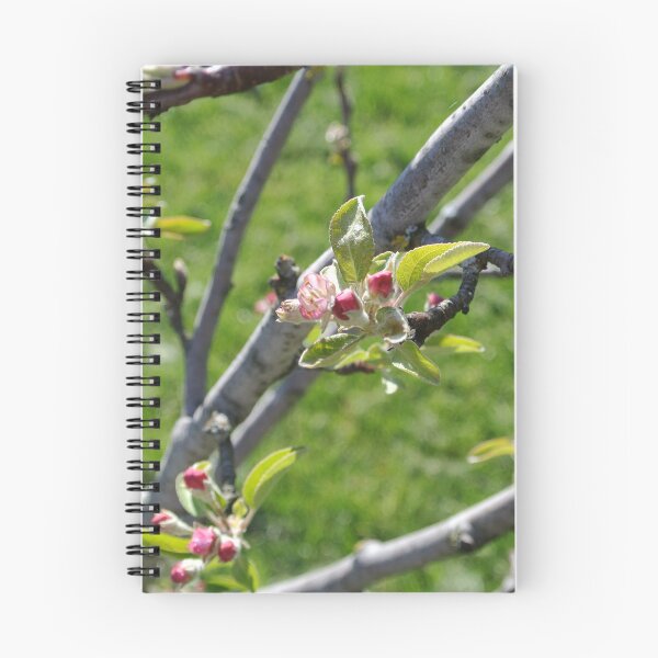 Item preview, Apple Blossoms designed and sold by errudd.