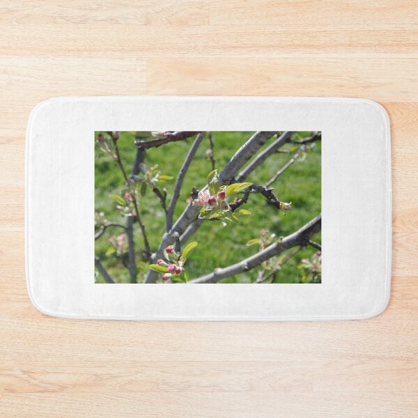 Item preview, Apple Blossoms designed and sold by errudd.