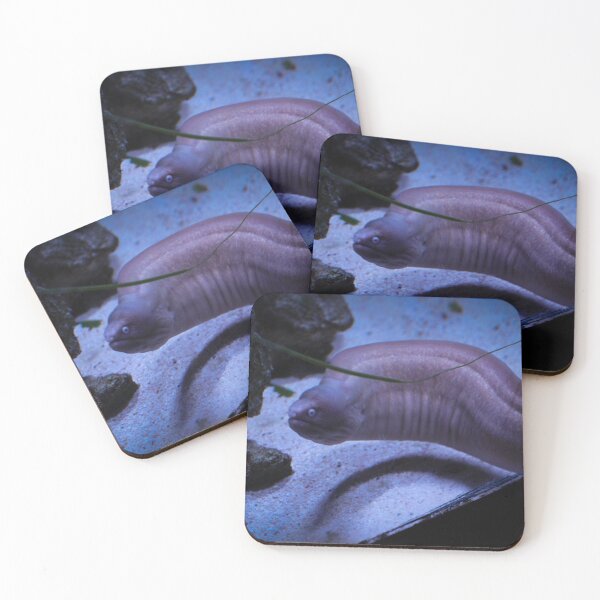 Item preview, Water snake:) designed and sold by Belles-Photos.