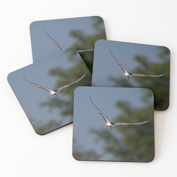 Item preview, Common Tern designed and sold by MTPhotos1406.