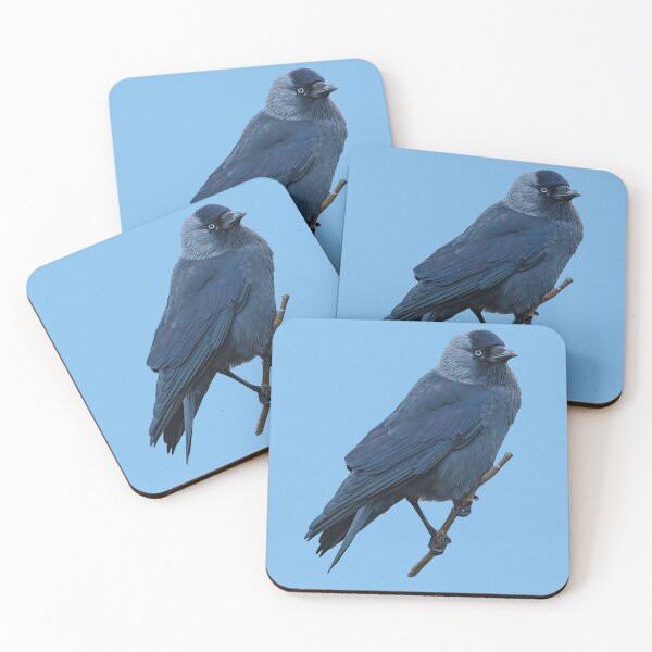 Item preview, Jackdaw in a Hawthorn tree designed and sold by Dalyndigital Photography.