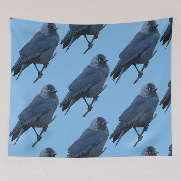 Item preview, Jackdaw in a Hawthorn tree designed and sold by Dalyndigital Photography.
