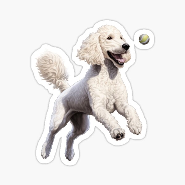 Item preview, Joyful Playful White Poodle Dog with Tennis Ball Art designed and sold by solrevolver.