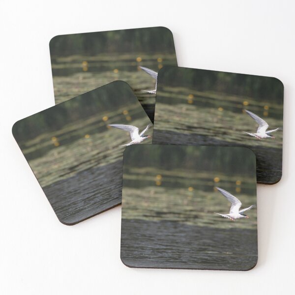 Item preview, Common Tern designed and sold by MTPhotos1406.