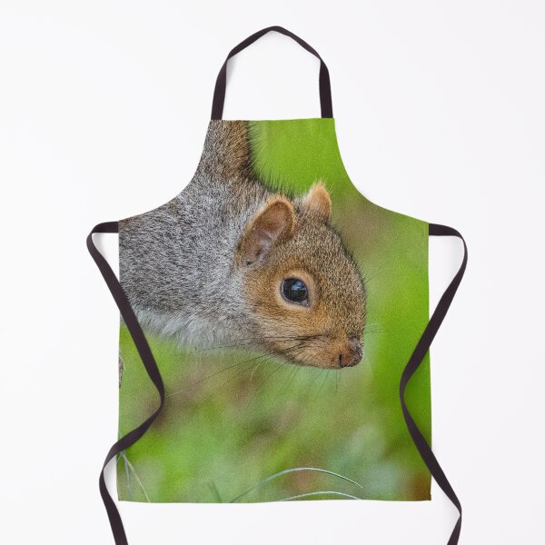 Item preview, Cute Grey Squirrel designed and sold by Dalyndigital Photography.