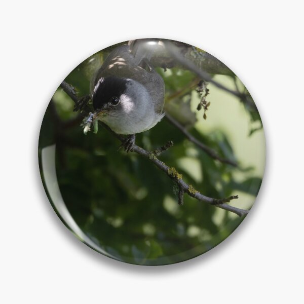Item preview, Eurasian blackcap designed and sold by Calidris Fotografie Steffi & Ben Köppler.