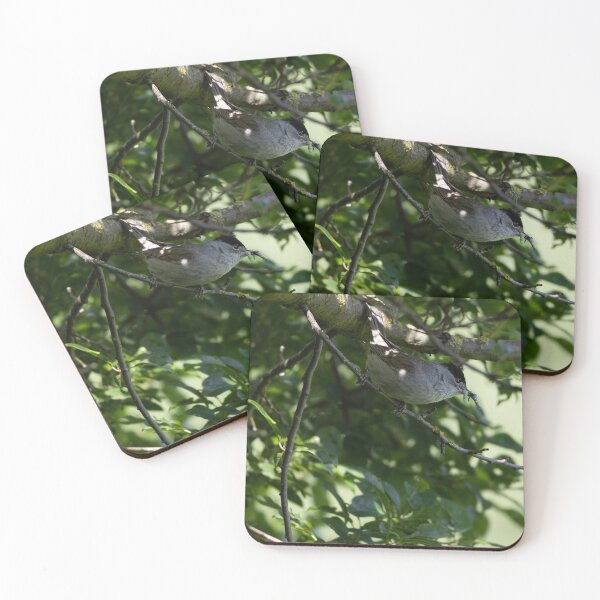 Item preview, Eurasian blackcap designed and sold by Calidris Fotografie Steffi & Ben Köppler.