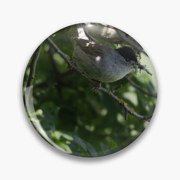 Item preview, Eurasian blackcap designed and sold by Calidris Fotografie Steffi & Ben Köppler.