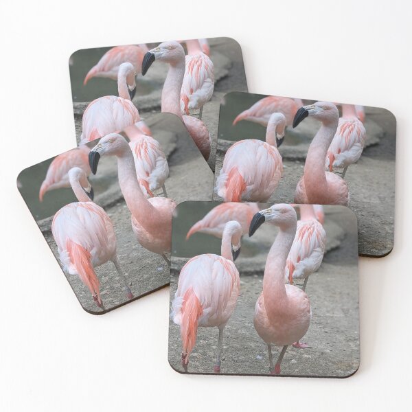 Item preview, A Flock of Friendly Flamingos designed and sold by TheRealDanniX.