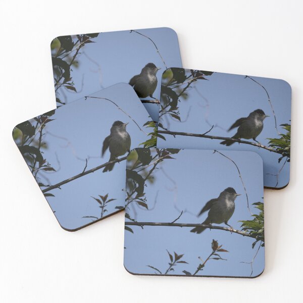 Item preview, Eurasian blackcap designed and sold by Calidris Fotografie Steffi & Ben Köppler.