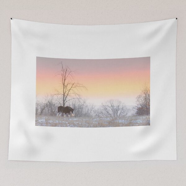 Item preview, Clydesdale horse walking through a winter meadow designed and sold by James Cumming.