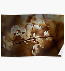 Spring Is In The Air - Floral Landscape Poster