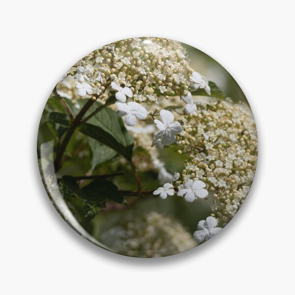 Item preview, Goelder Rose designed and sold by Calidris Fotografie Steffi & Ben Köppler.