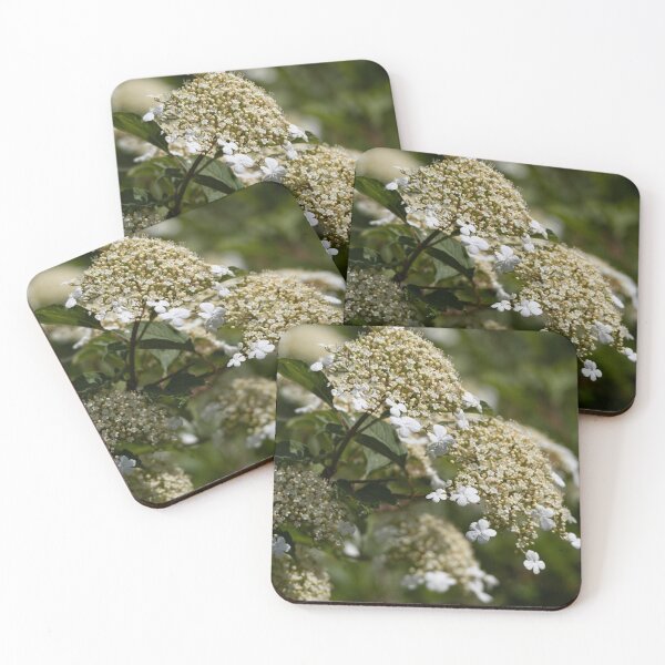 Item preview, Goelder Rose designed and sold by Calidris Fotografie Steffi & Ben Köppler.