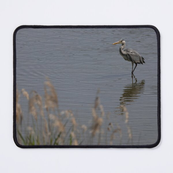 Item preview, Grey Heron designed and sold by Calidris Fotografie Steffi & Ben Köppler.