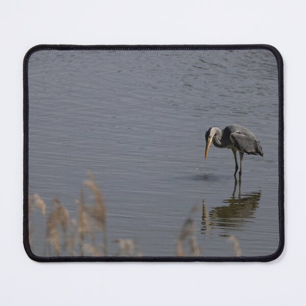 Item preview, Grey Heron designed and sold by Calidris Fotografie Steffi & Ben Köppler.