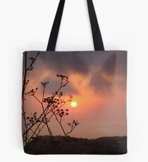 Sunset behind the fennel plant Tote Bag