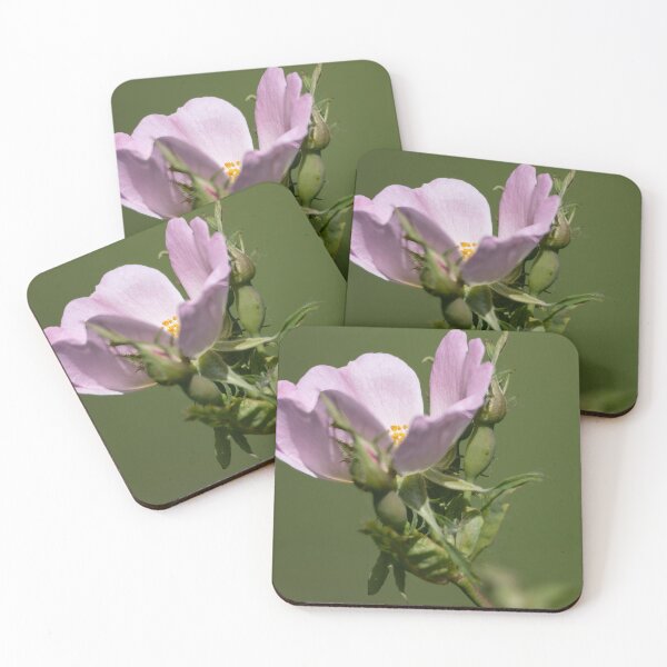 Item preview, Dog Rose designed and sold by Calidris Fotografie Steffi & Ben Köppler.