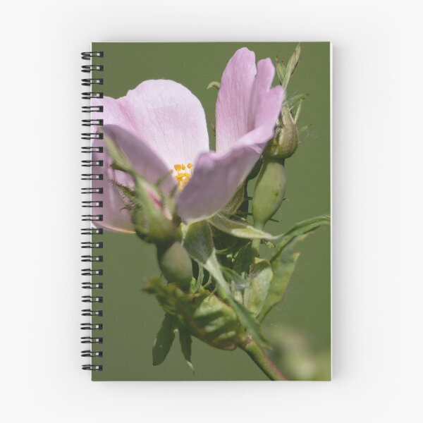 Item preview, Dog Rose designed and sold by Calidris Fotografie Steffi & Ben Köppler.