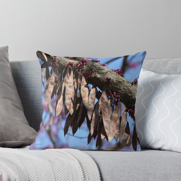 Item preview, Redbud Tree Seed Pods designed and sold by Catherine Sherman.