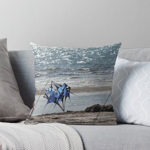 Item preview, beach and kites designed and sold by sharon Wingard.