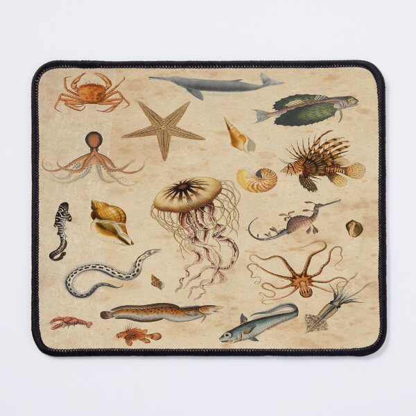 Item preview, Marine Biology Gift - Vintage Theme Design designed and sold by Siva Sakthi.