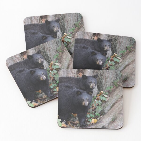 Item preview, Black Bear Cubs designed and sold by Darren Quarin.