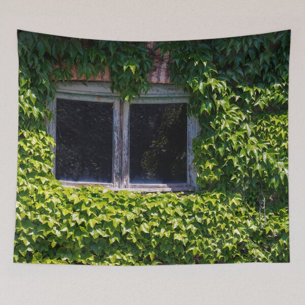 Item preview, A window in a old building designed and sold by Giuseppe Cammino.