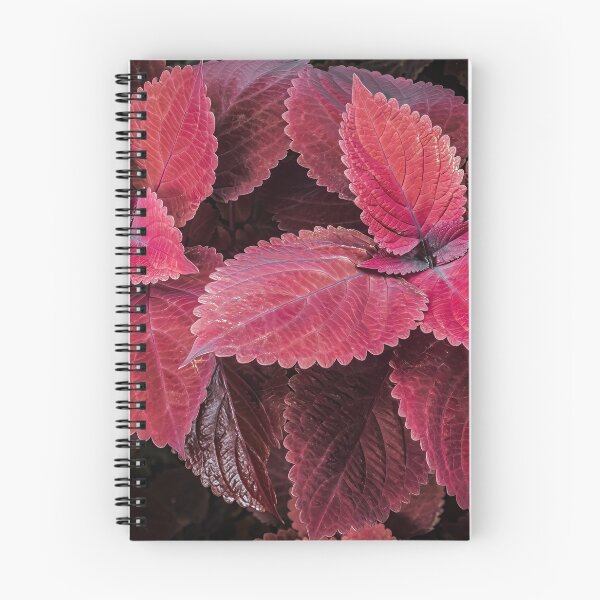 Item preview, Coleus Pink designed and sold by Steve Walser.