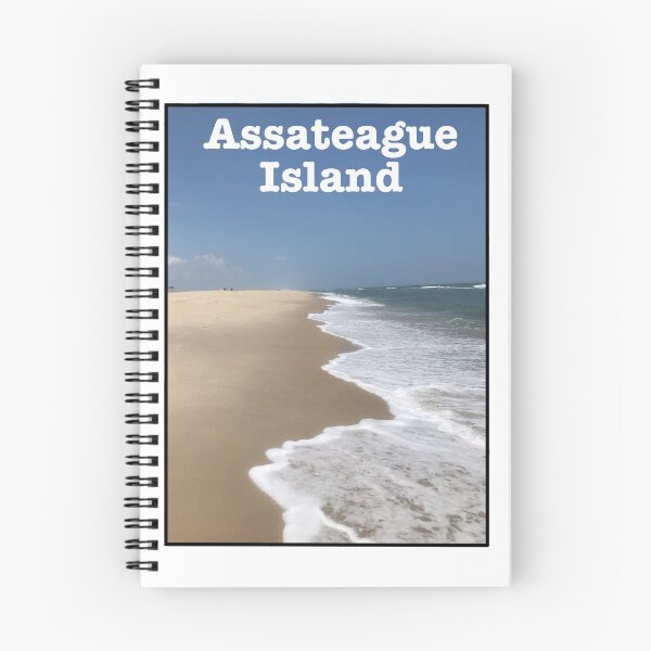 Item preview, Assateague Island designed and sold by delmarvastickers.