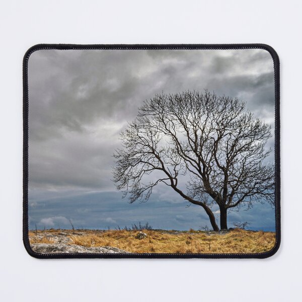 Item preview, Winter Tree designed and sold by Richard Allen.