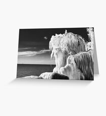 Frozen Branches Greeting Card