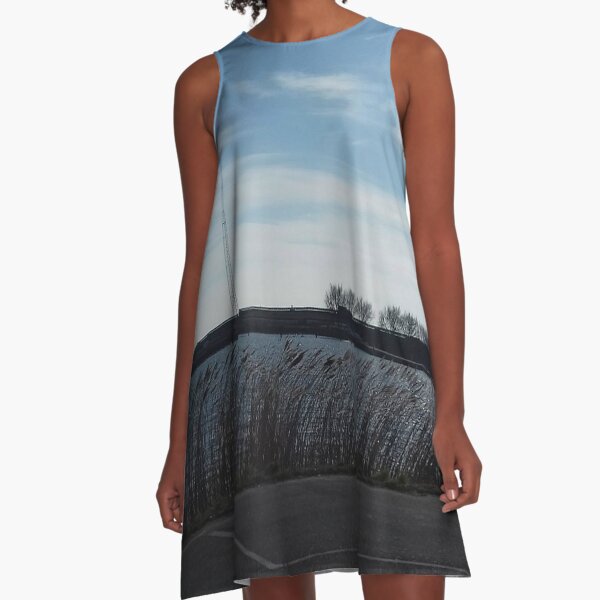 Parked at the water A-Line Dress