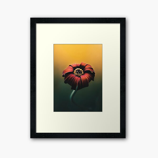 Item preview, Red Macro Rose  designed and sold by Floralsrose.