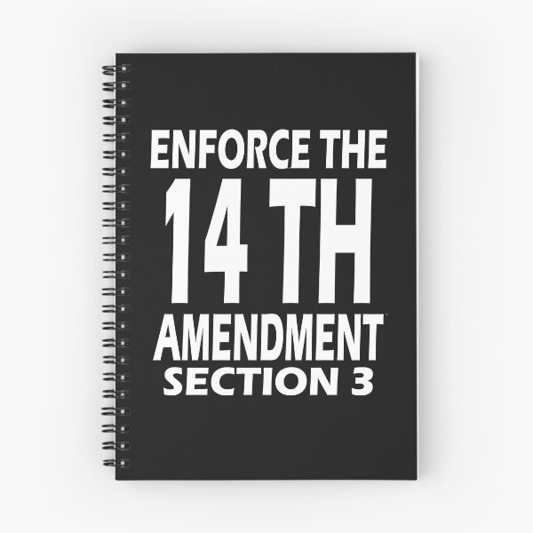 Item preview,  Enforce the  14 th amendment of USA constitution,section 3 designed and sold by erozzz.