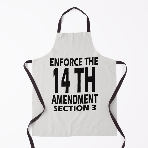 Item preview, Enforce the 14 th amendment of USA constitution,section 3 designed and sold by erozzz.