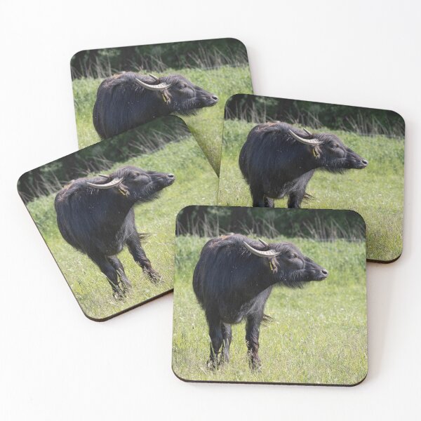 Item preview, Domestic Water Buffalo designed and sold by Calidris Fotografie Steffi & Ben Köppler.