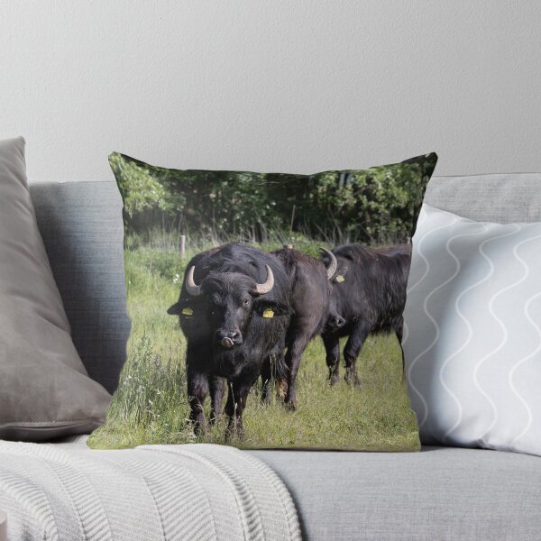 Item preview, Domestic Water Buffalo designed and sold by Calidris Fotografie Steffi & Ben Köppler.