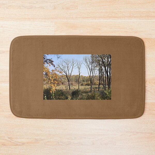 Item preview, Bare Fall Trees on the Prairie designed and sold by Martha Sherman.
