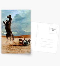 Horse and Man Ernst Haas, Stuntman with mustang on the set of The Misfits, 1960 Postcards