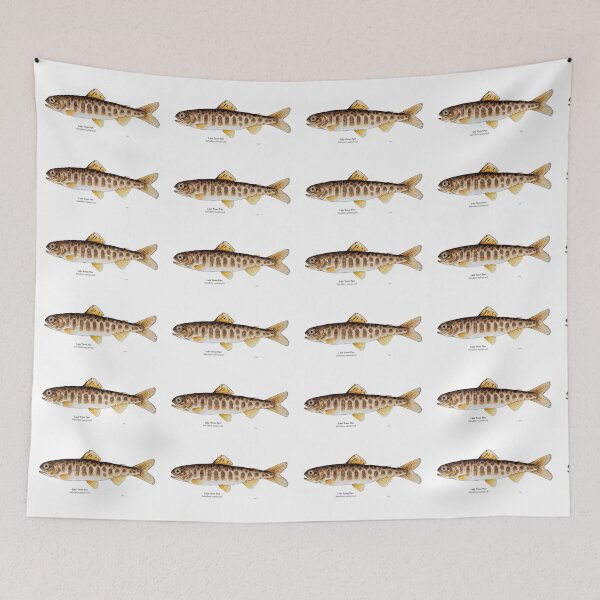 Item preview, Lake Trout Parr Painting designed and sold by Stephen Emms.