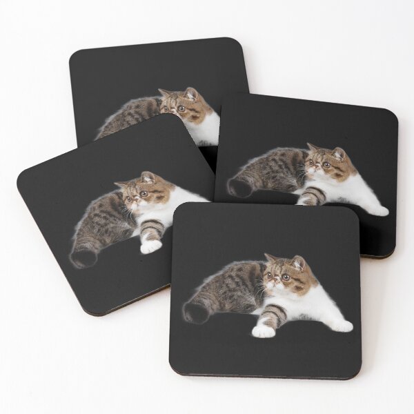 Item preview, Tortie Cat designed and sold by Lar888.