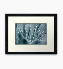 Stamens Framed Print