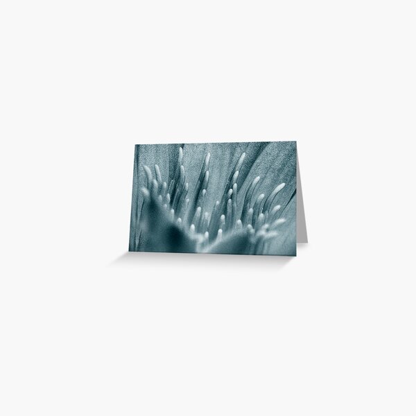 Item preview, Stamens designed and sold by Steve  Woodman.